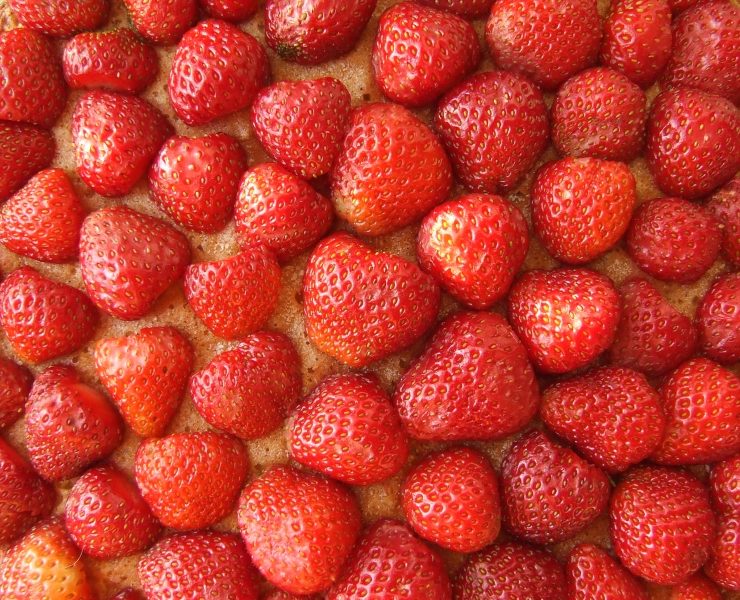 Truskawki | fot. Chmurcik
