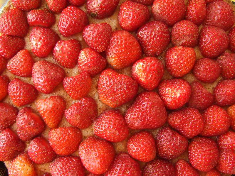 Truskawki | fot. Chmurcik