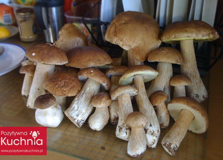 Jak suszyć grzyby