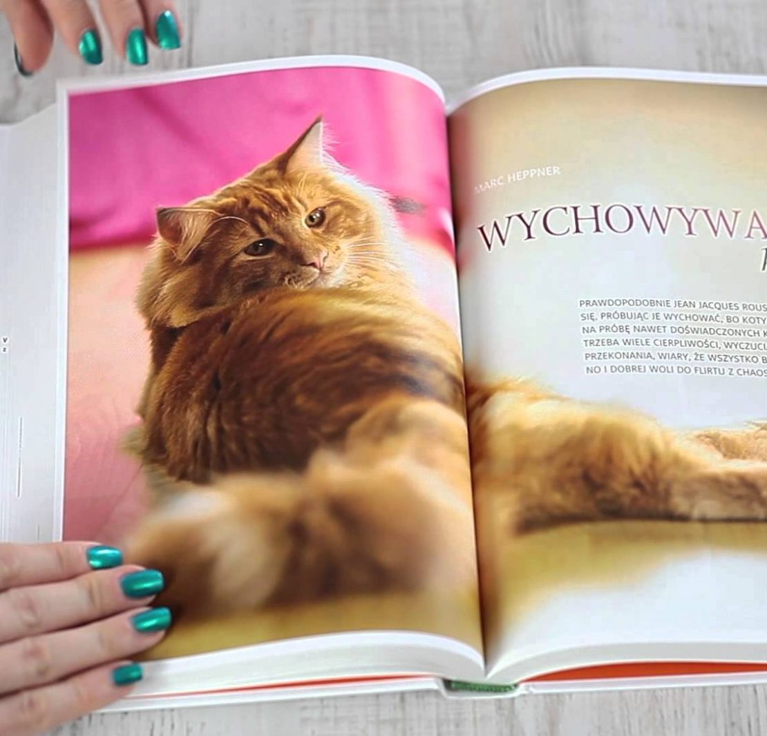 Koty - Renate Jones - recenzja