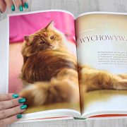 Koty - Renate Jones - recenzja