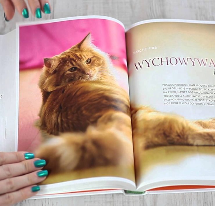 Koty - Renate Jones - recenzja