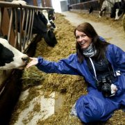 Mleko od szczęśliwej krowy