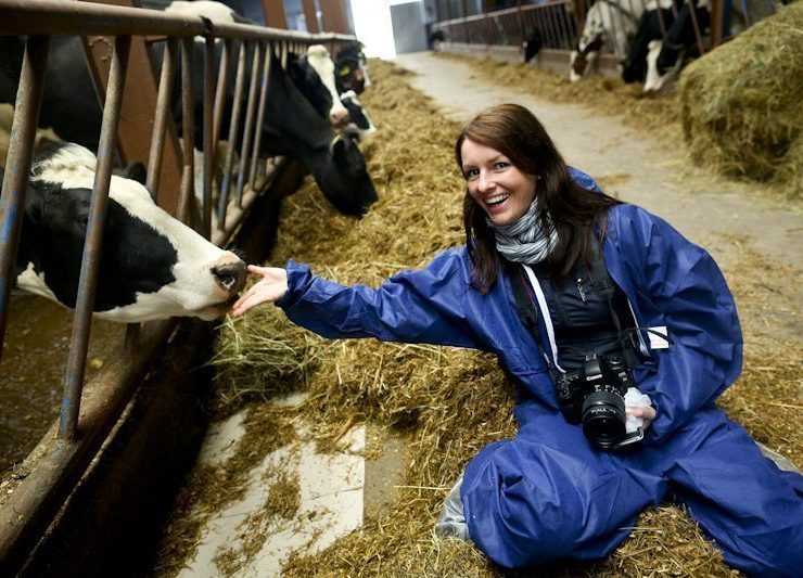 Mleko od szczęśliwej krowy