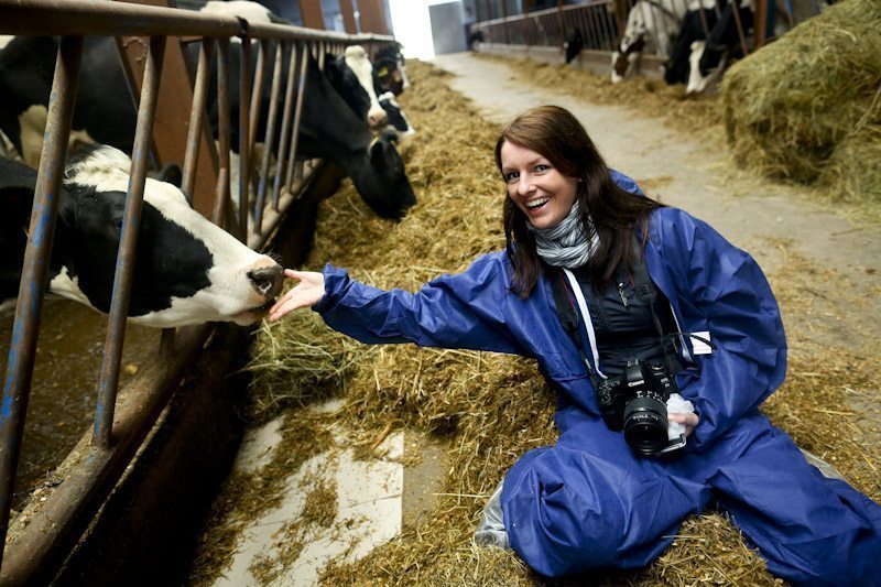 Mleko od szczęśliwej krowy