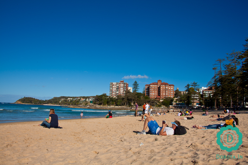 Manly Beach