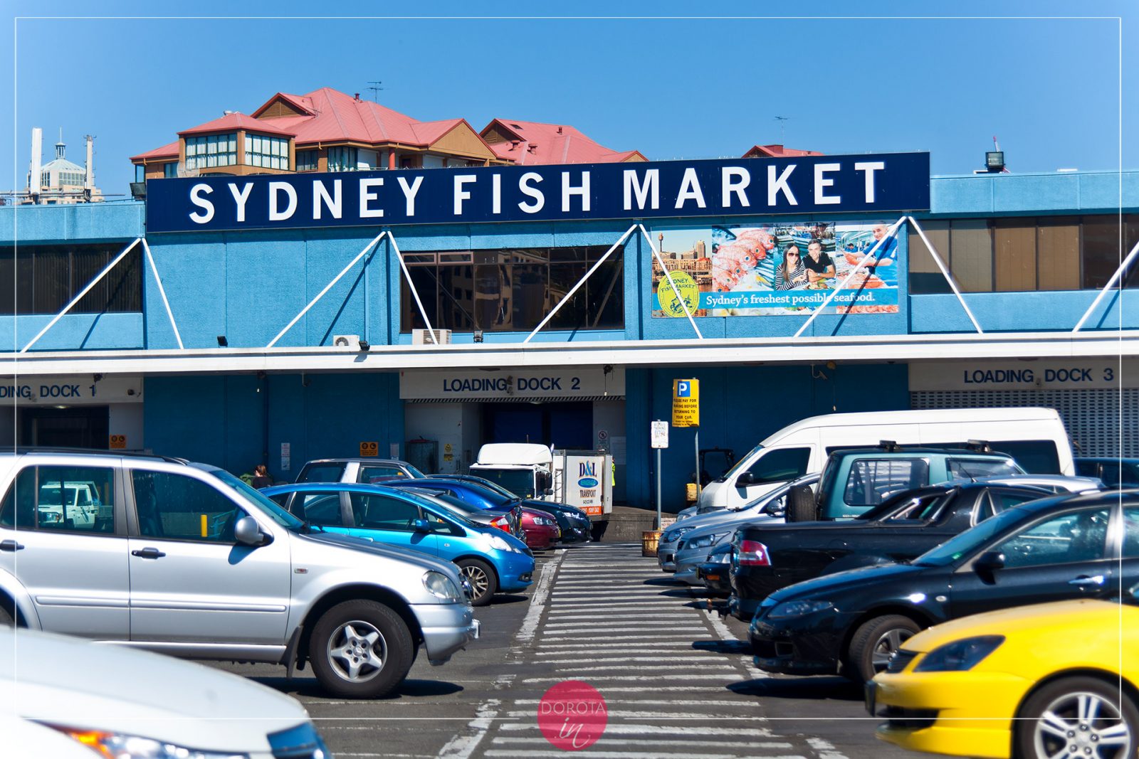 Sydney Fish Market