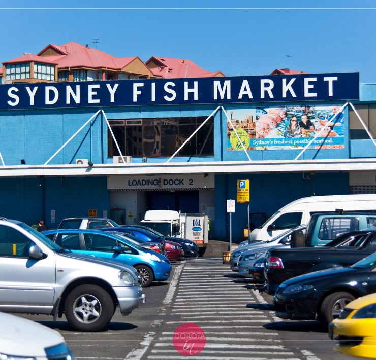 Sydney Fish Market