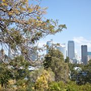 Widok z Potts Point na The City w Sydney