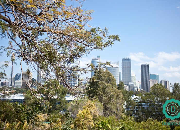 Widok z Potts Point na The City w Sydney