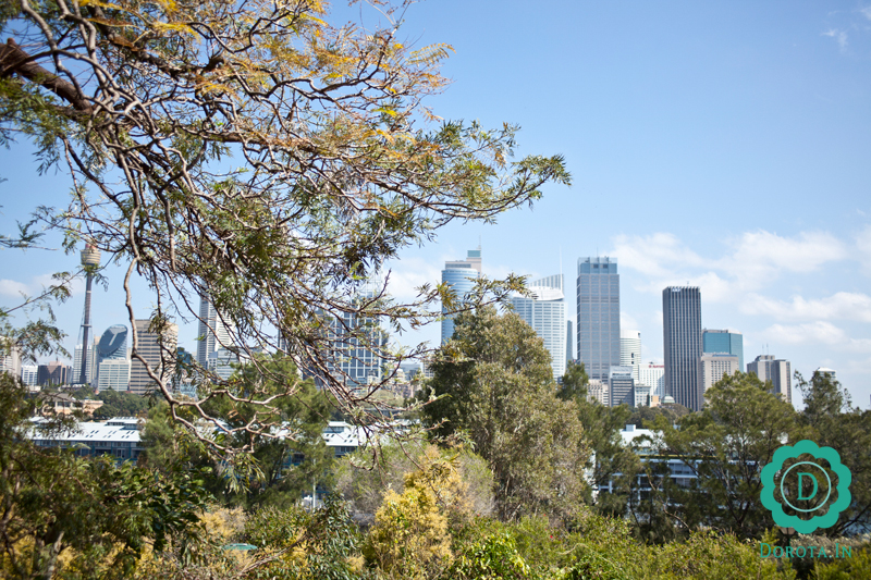 Widok z Potts Point na The City w Sydney