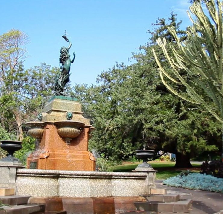 Royal Botanic Gardens - Sydney - Australia