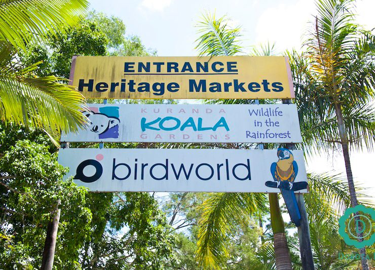 Atrakcje w Kuranda Village