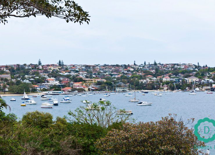 Watsons Bay - widok na wzgórze