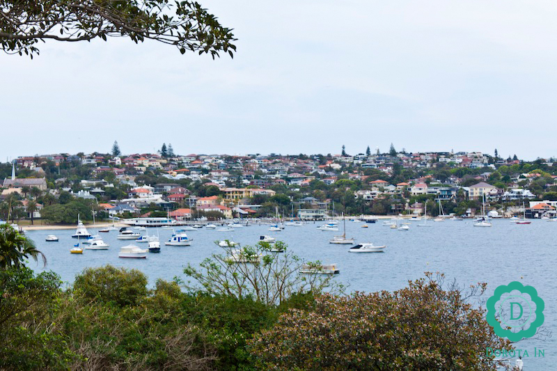 Watsons Bay - widok na wzgórze