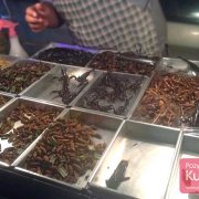Owady, insekty i inne „robaki” do jedzenia w Bangkoku