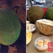 Jackfruit