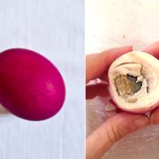 Salted egg - słone jajko