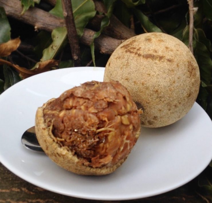 Feronia słoniowa - woodapple