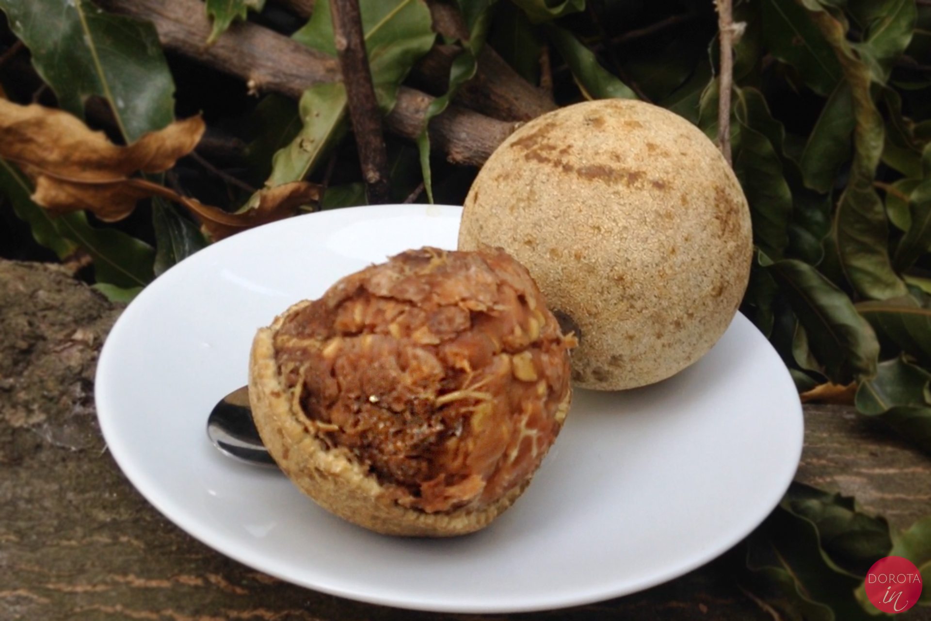 Feronia słoniowa - woodapple