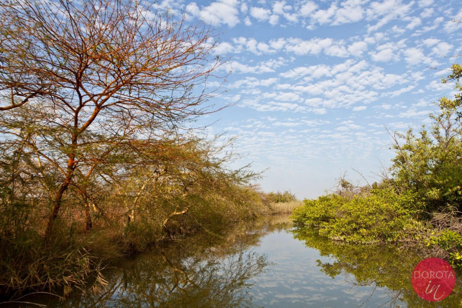 Zwiedzanie Gambii - co warto zobaczyć