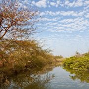 Zwiedzanie Gambii - co warto zobaczyć