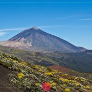 Wulkan El Teide Teneryfa