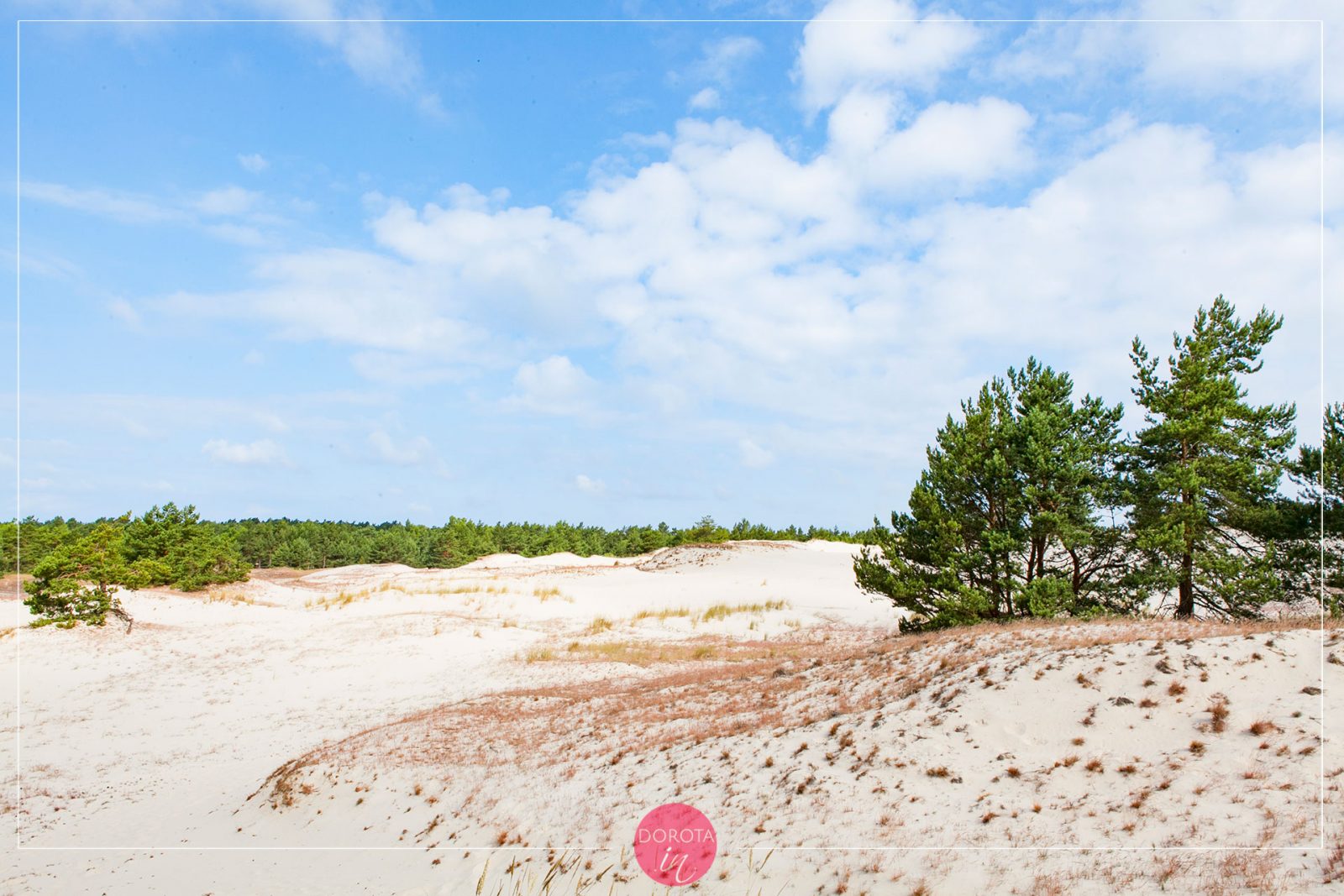 Pierwsze piękne widoki w parku