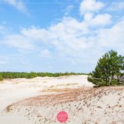 Pierwsze piękne widoki w parku