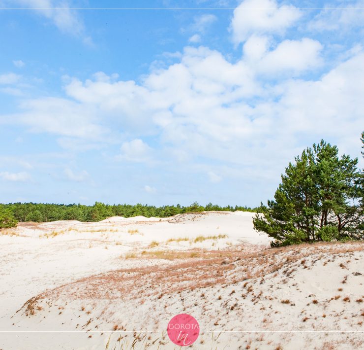 Pierwsze piękne widoki w parku