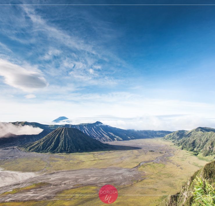 Rok 2016 w zdjęciach