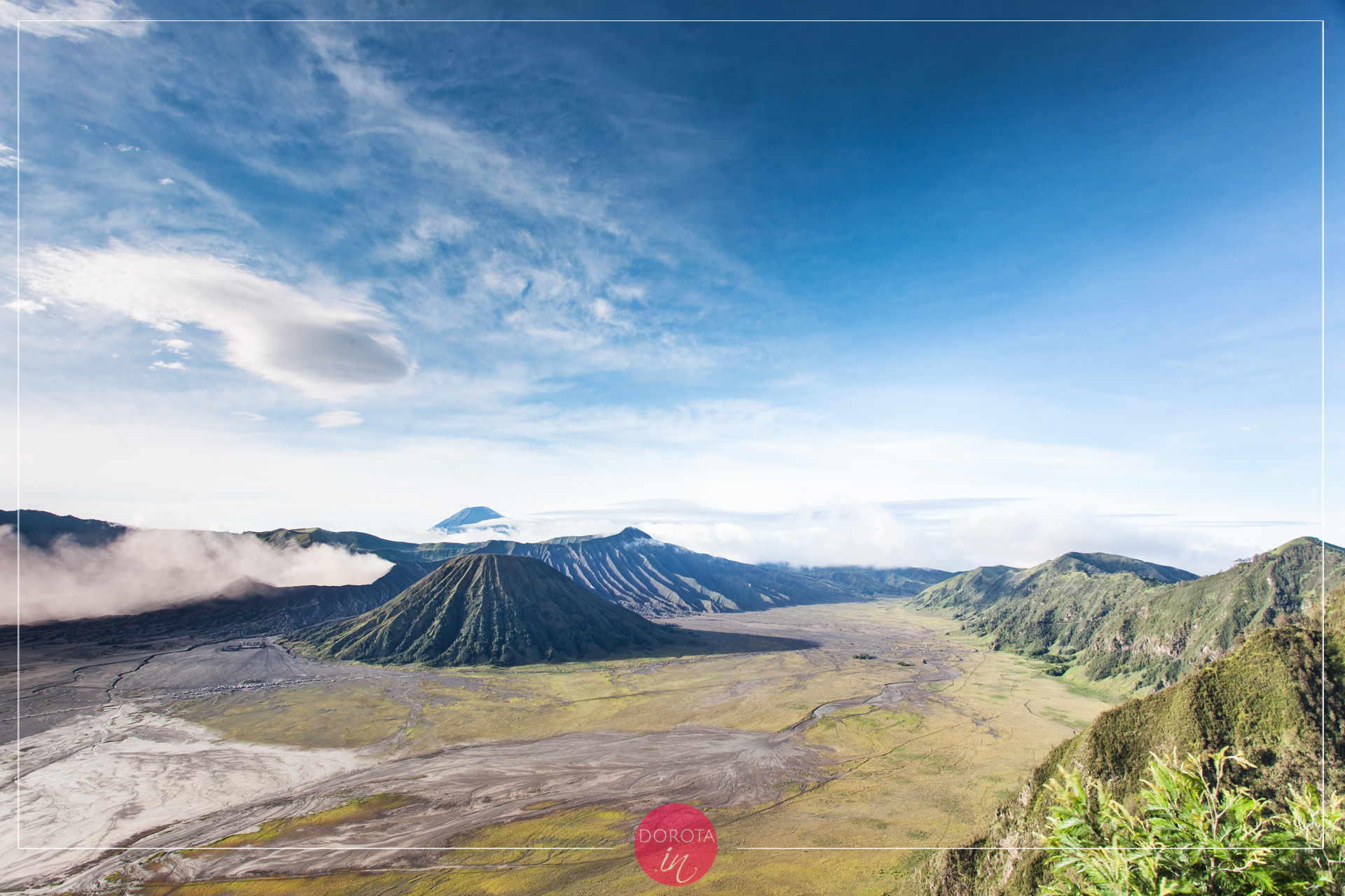 Rok 2016 w zdjęciach