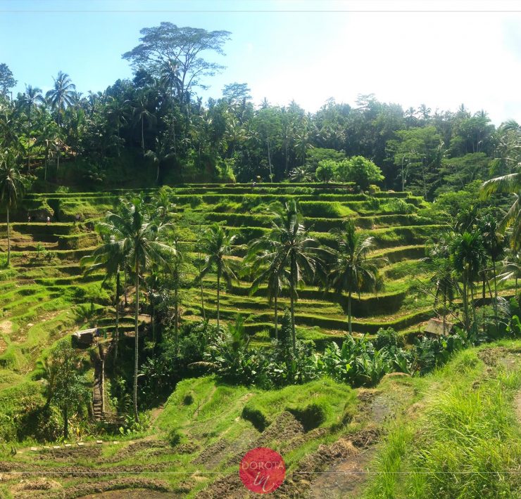 Bali Indonezja