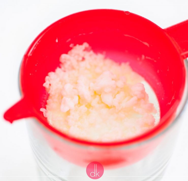 Tybetański grzybek kefirowy