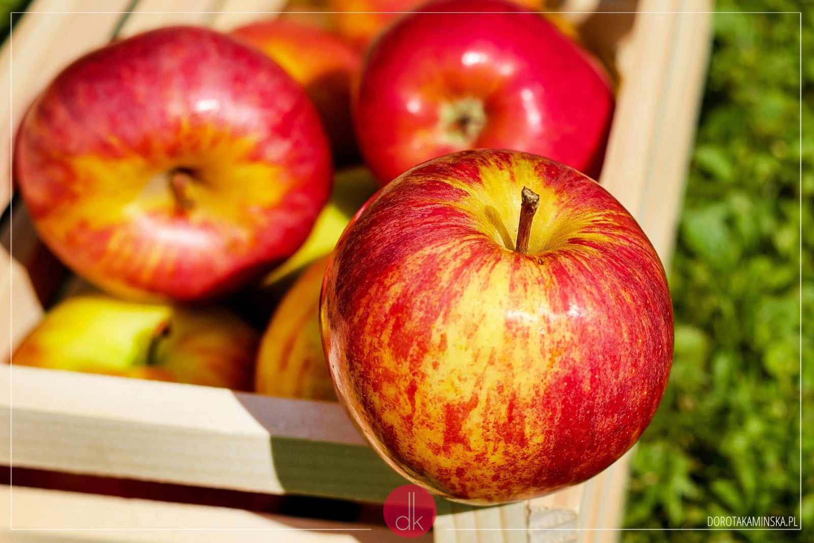 Jabłka
