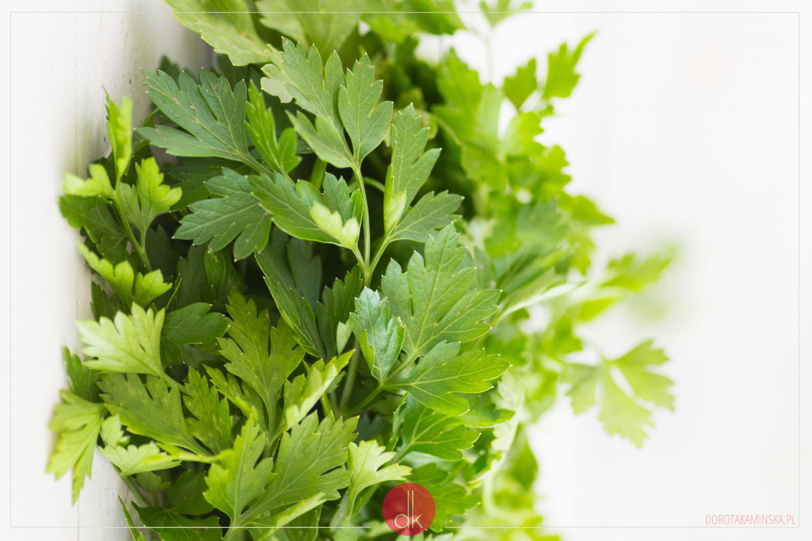 Natka pietruszki